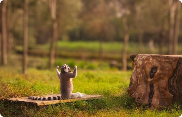 strongest-in-the-forest